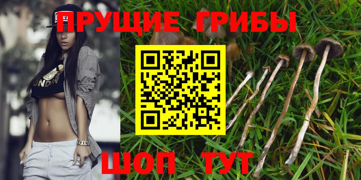Псилоцибиновые грибы Magic Shrooms Артём